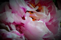 /album/round-and-round1/dsc-0019-jpg/