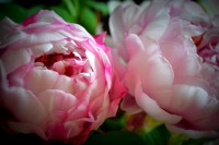 /album/round-and-round1/dsc-0021-jpg/