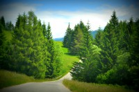 /album/nature1/dsc-0123-jpg2/
